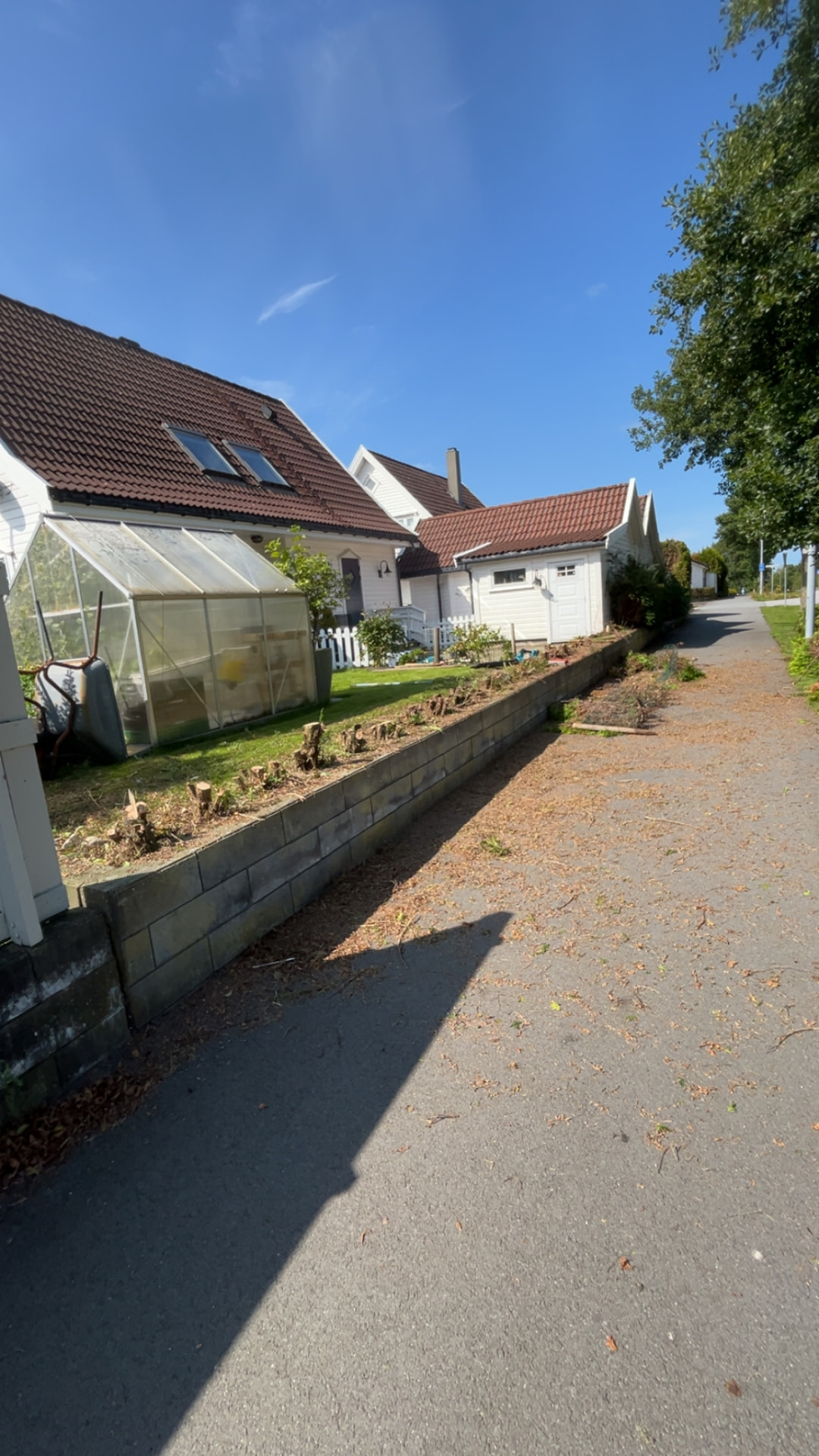 Stubber igjen i plantefeltet etter at hekken er kappet