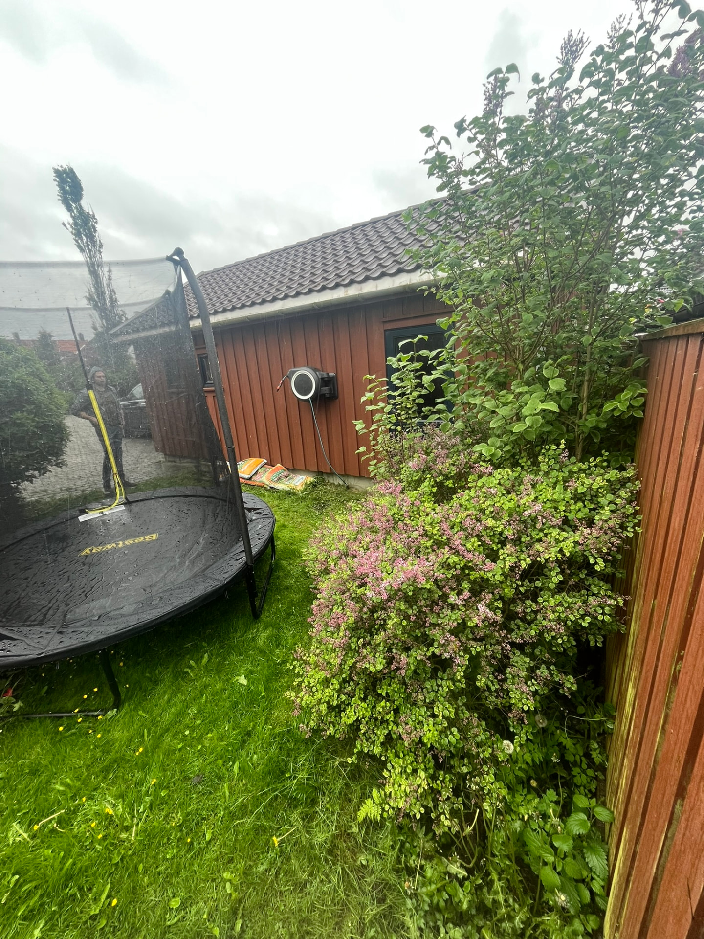 Hagen med trampoline og ujevn plen før uteområdet ble opparbeidet