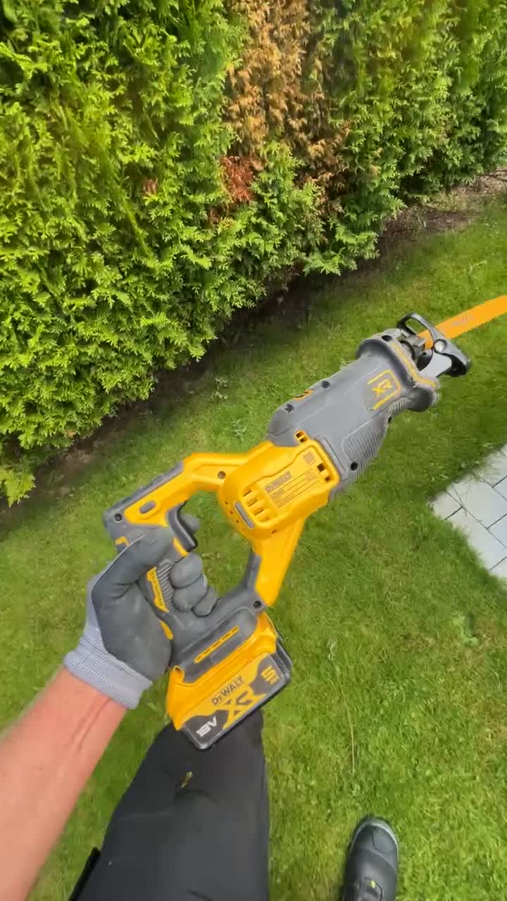 Video fra riving av tujahekken på Sola